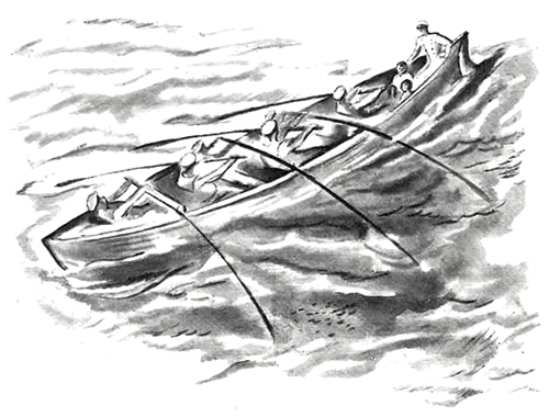 Акула, Толстой Л.Н. картинка 5