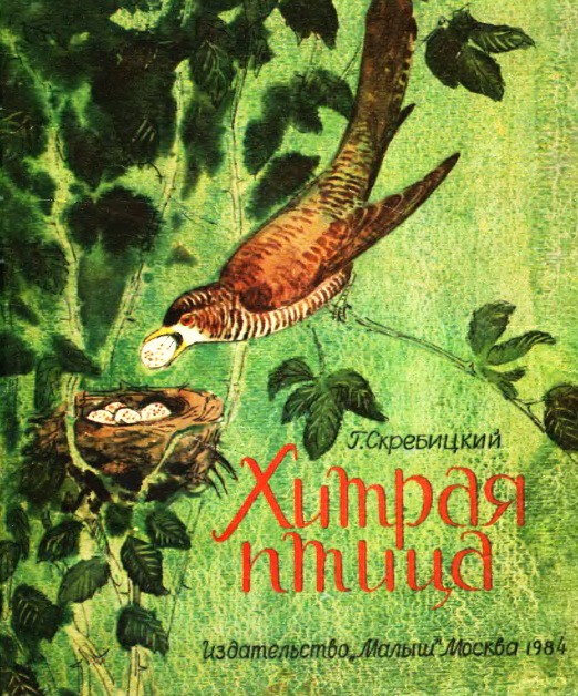 Хитрая птица, Скребицкий Г.А. картинка 1