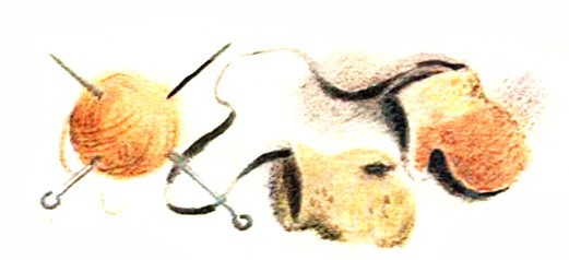 Верблюжья варежка, Снегирёв Г.Я. картинка 11