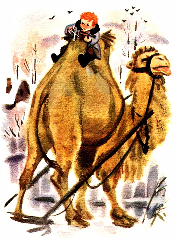 Верблюжья варежка, Снегирёв Г.Я. картинка 7
